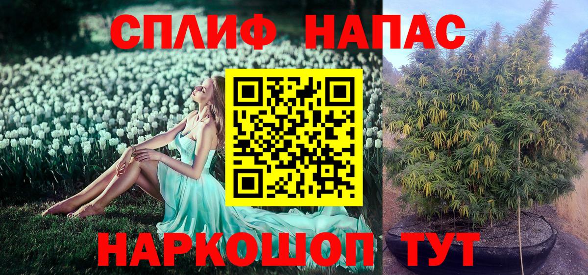 Бошки марихуана конопля Евпатория